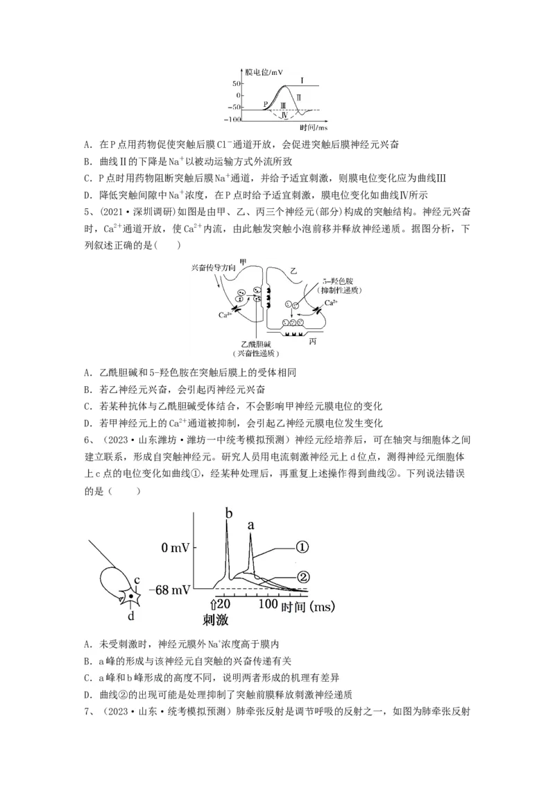 专题24神经调节（精练）（原卷版）_2024年新高考资料_1.2024一轮复习_备战2024年高考生物一轮复习串讲精练（新高考专用）