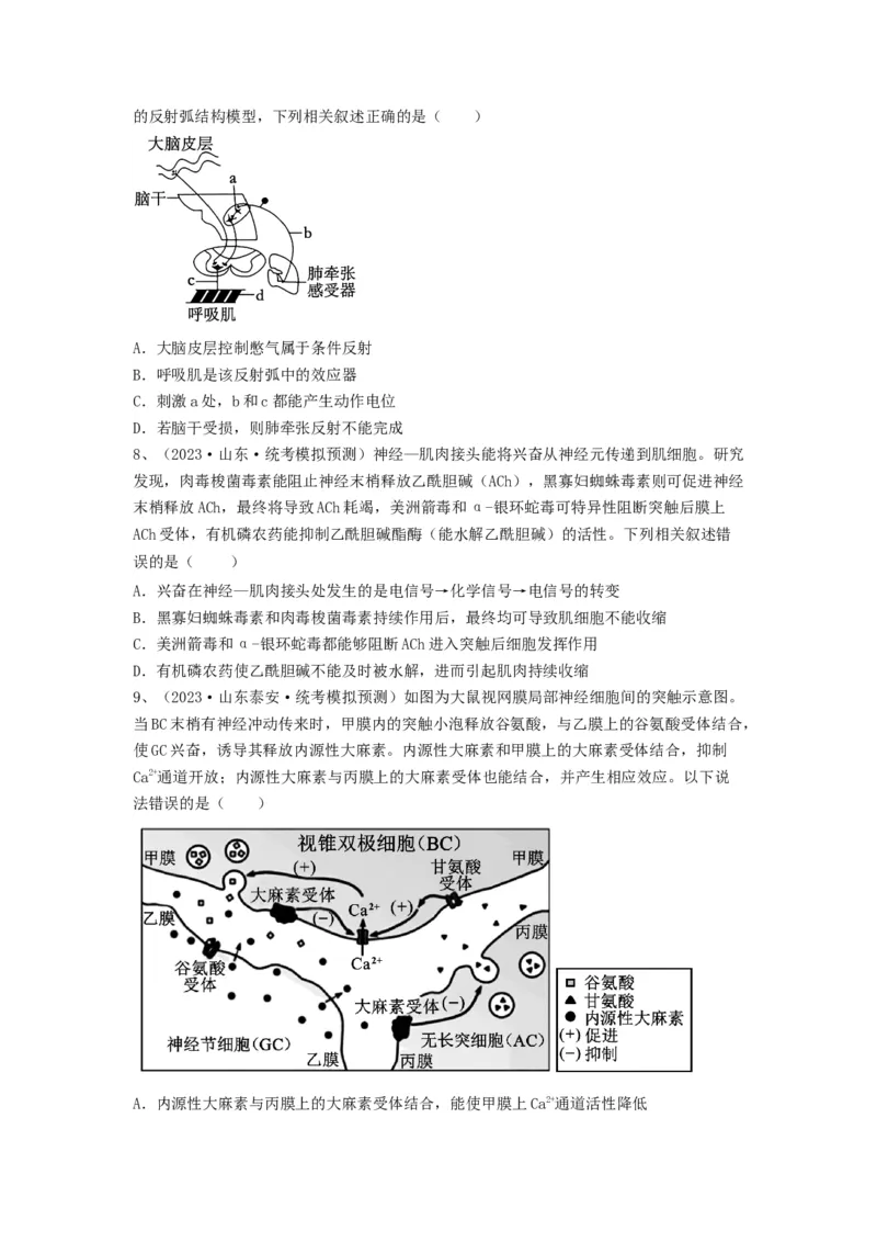 专题24神经调节（精练）（原卷版）_2024年新高考资料_1.2024一轮复习_备战2024年高考生物一轮复习串讲精练（新高考专用）