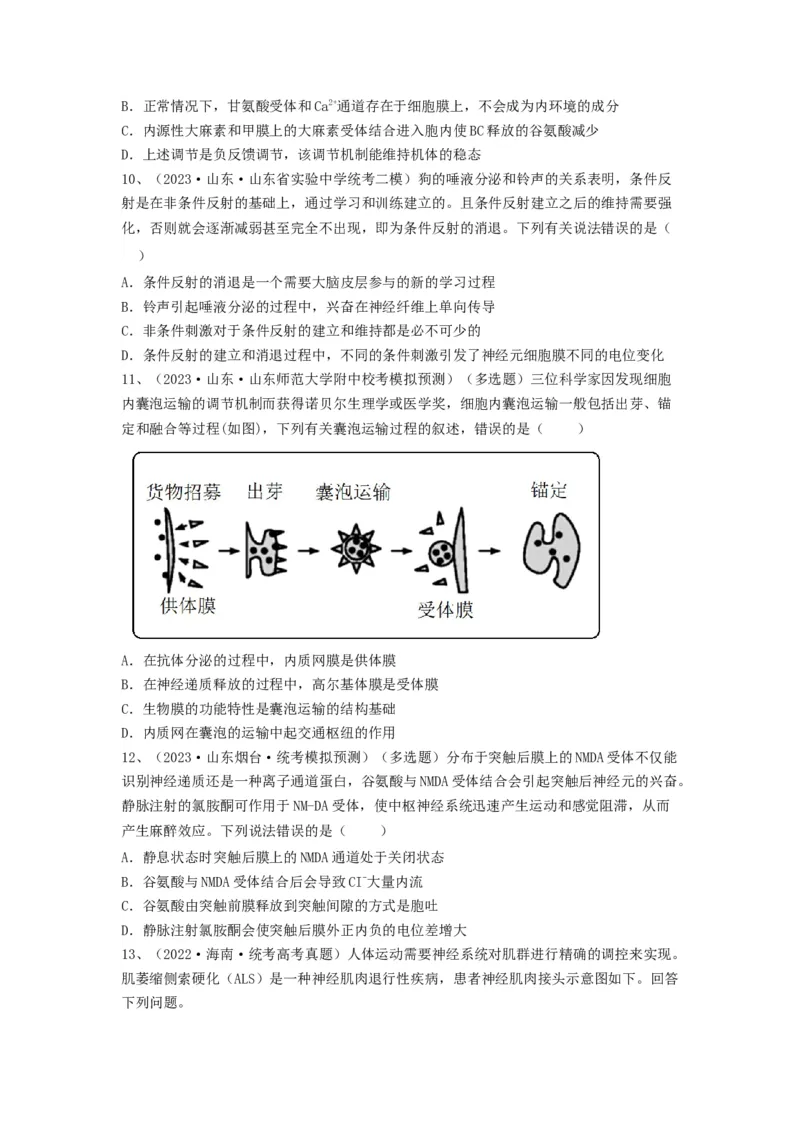 专题24神经调节（精练）（原卷版）_2024年新高考资料_1.2024一轮复习_备战2024年高考生物一轮复习串讲精练（新高考专用）