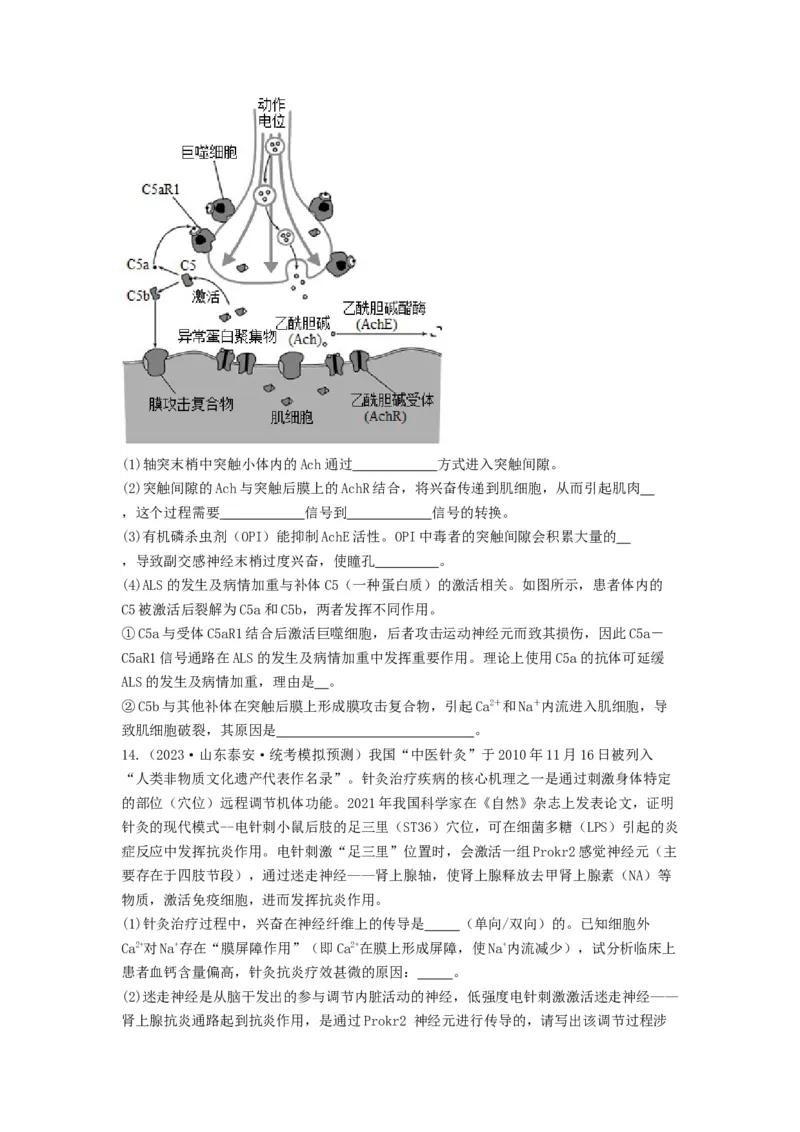 专题24神经调节（精练）（原卷版）_2024年新高考资料_1.2024一轮复习_备战2024年高考生物一轮复习串讲精练（新高考专用）