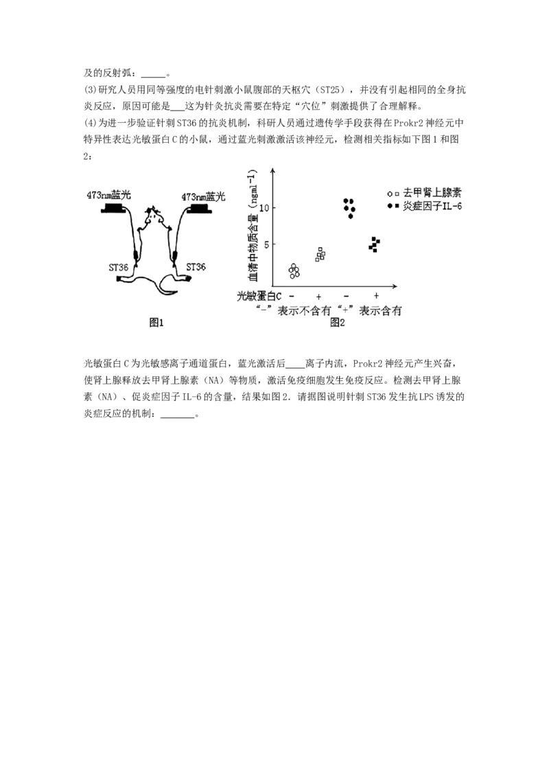 专题24神经调节（精练）（原卷版）_2024年新高考资料_1.2024一轮复习_备战2024年高考生物一轮复习串讲精练（新高考专用）