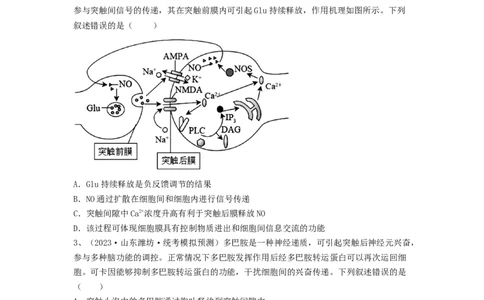 专题24神经调节（精练）（原卷版）_2024年新高考资料_1.2024一轮复习_备战2024年高考生物一轮复习串讲精练（新高考专用）