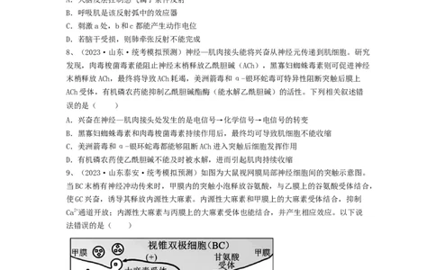 专题24神经调节（精练）（原卷版）_2024年新高考资料_1.2024一轮复习_备战2024年高考生物一轮复习串讲精练（新高考专用）