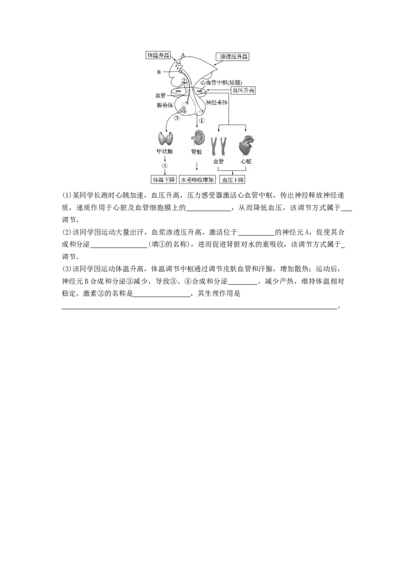 专题23人体的内环境与稳态（串讲）（原卷版）_2024年新高考资料_1.2024一轮复习_备战2024年高考生物一轮复习串讲精练（新高考专用）