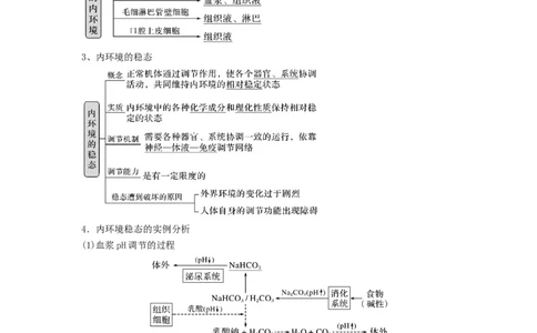 专题23人体的内环境与稳态（串讲）（原卷版）_2024年新高考资料_1.2024一轮复习_备战2024年高考生物一轮复习串讲精练（新高考专用）
