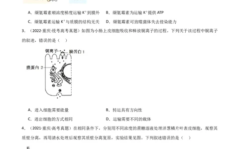 宝典03细胞的物质输入和输出（原卷版）_2024年新高考资料_1.2024一轮复习_2024年高考生物一轮复习知识清单