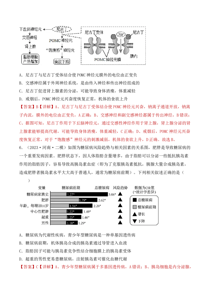 专题10稳态与生命活动的调节（包含神经、体液调节）（解析版）_2024年新高考资料_3.2024专项复习_备战2024年高考生物一轮复习重难点突破讲解与训练（新教材）