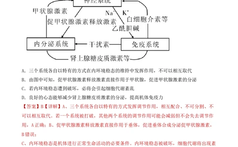 专题10稳态与生命活动的调节（包含神经、体液调节）（解析版）_2024年新高考资料_3.2024专项复习_备战2024年高考生物一轮复习重难点突破讲解与训练（新教材）