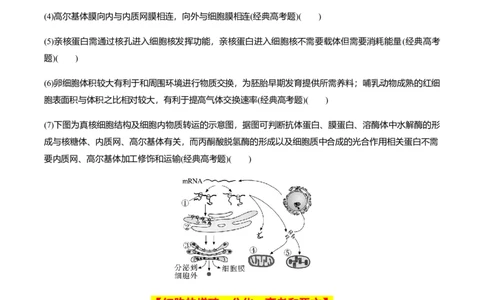 专题02高中生物考前必刷易错题（学生版）_2024年新高考资料_5.2024三轮冲刺_备战2024年高中生物考前必备锦囊（全国通用）
