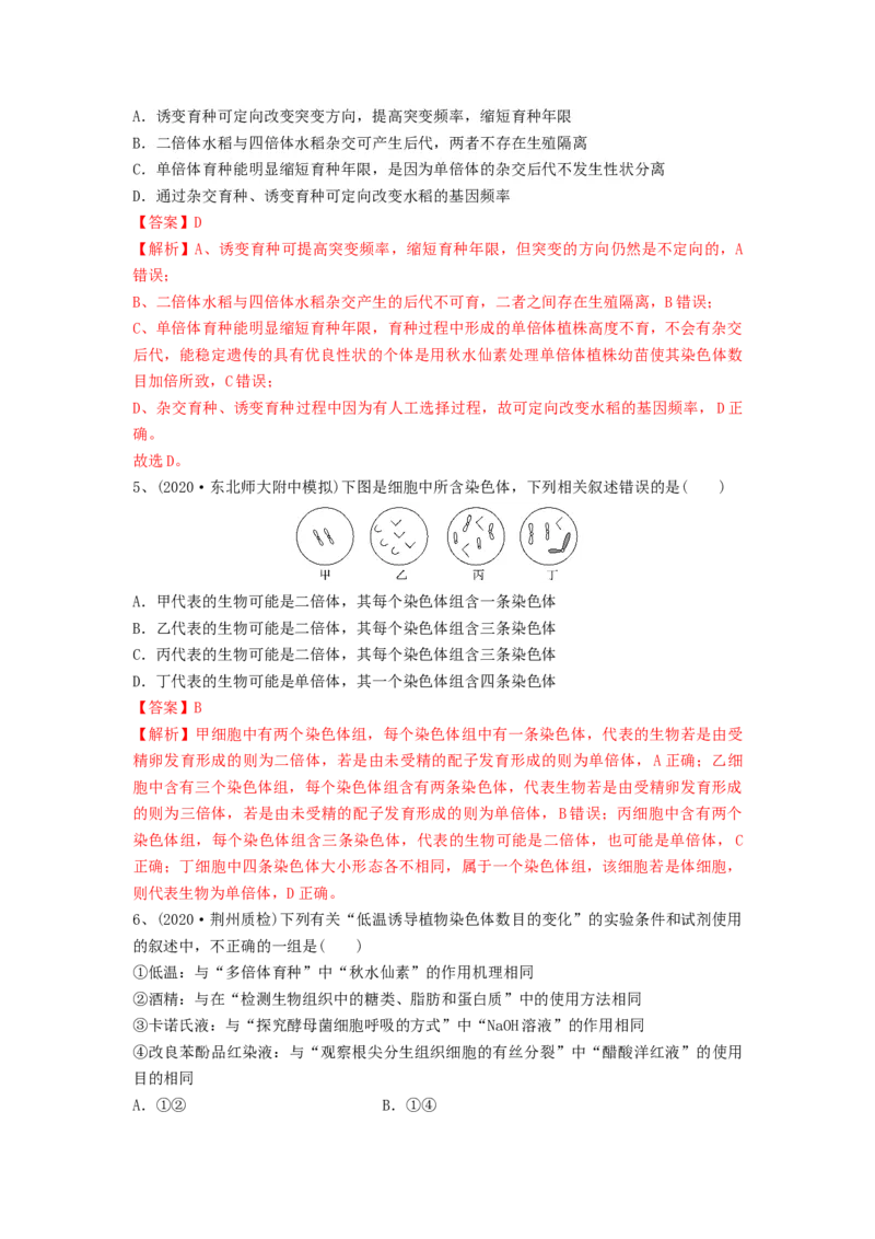 专题21染色体变异与育种（精练）（解析版）_2024年新高考资料_1.2024一轮复习_备战2024年高考生物一轮复习串讲精练（新高考专用）