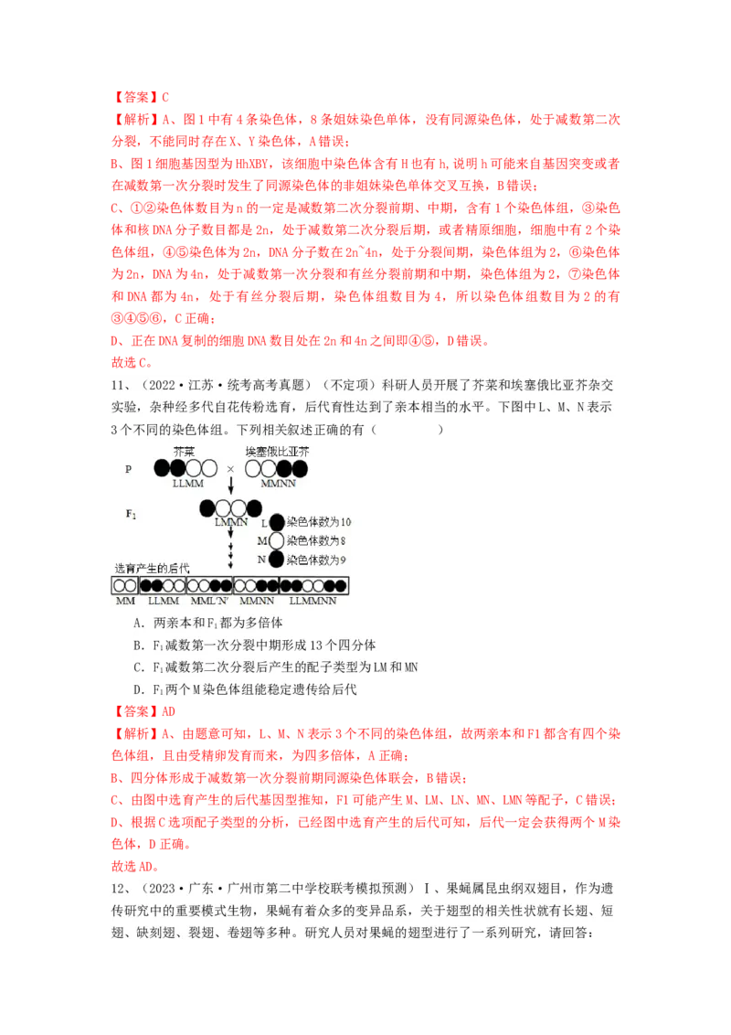 专题21染色体变异与育种（精练）（解析版）_2024年新高考资料_1.2024一轮复习_备战2024年高考生物一轮复习串讲精练（新高考专用）