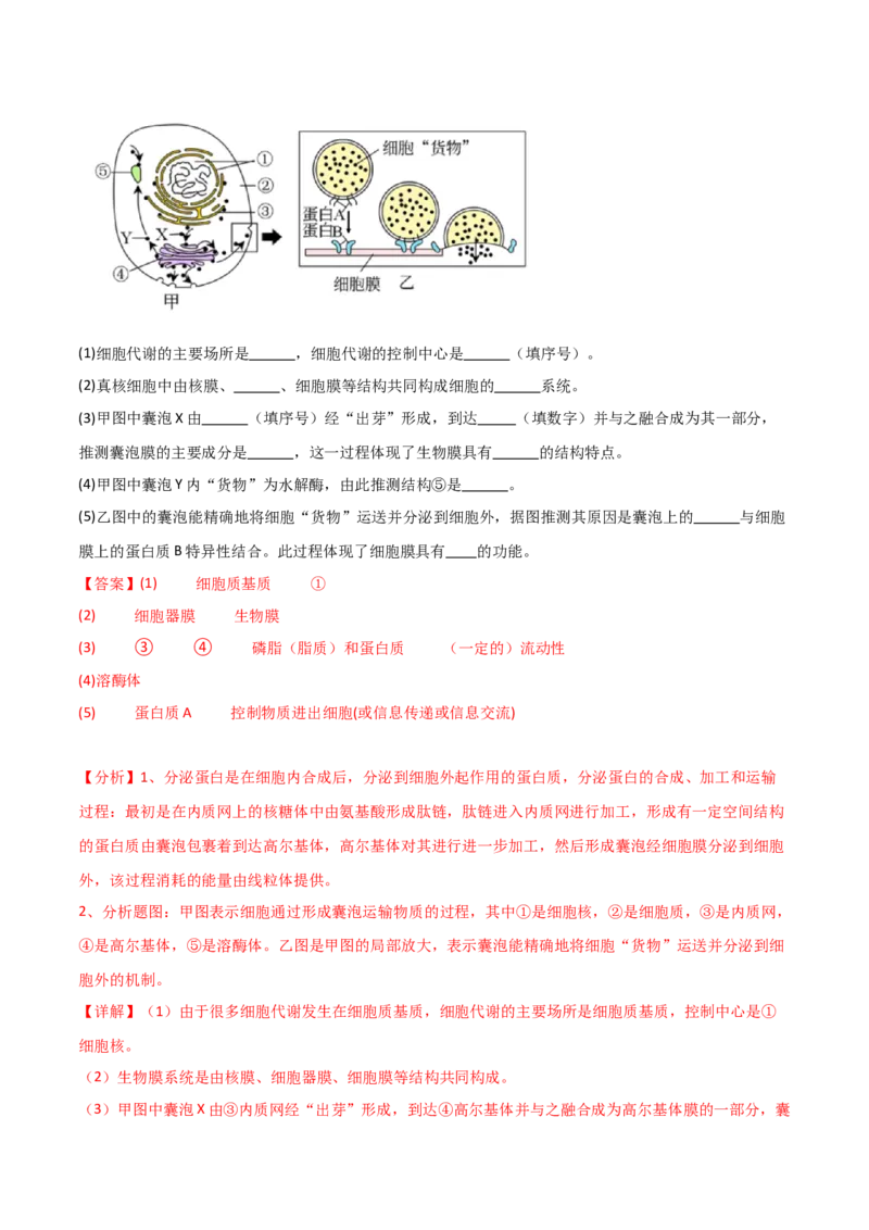 单元检测卷02细胞的结构、功能和物质运输（解析版）_2024年新高考资料_1.2024一轮复习_2024年高考生物一轮复习考点通关卷（新高考通用）