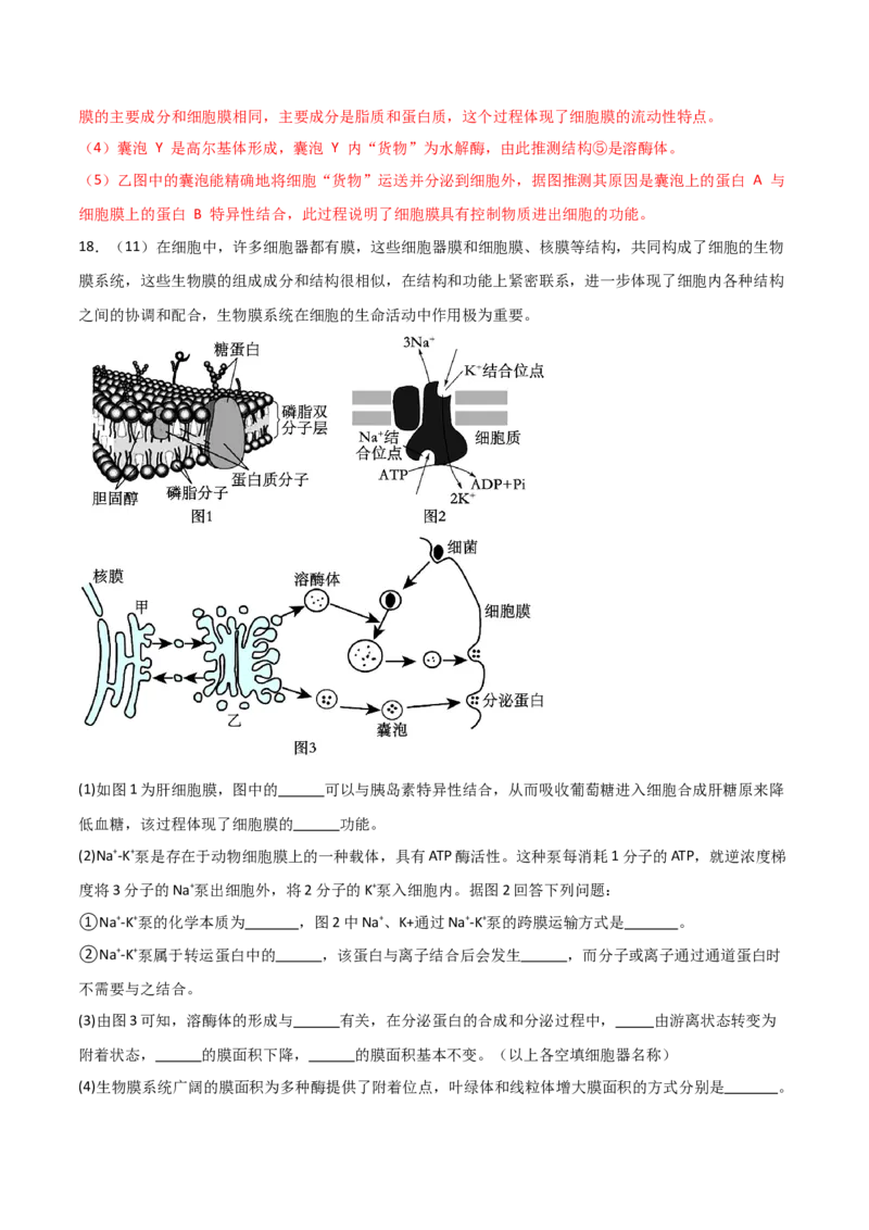 单元检测卷02细胞的结构、功能和物质运输（解析版）_2024年新高考资料_1.2024一轮复习_2024年高考生物一轮复习考点通关卷（新高考通用）