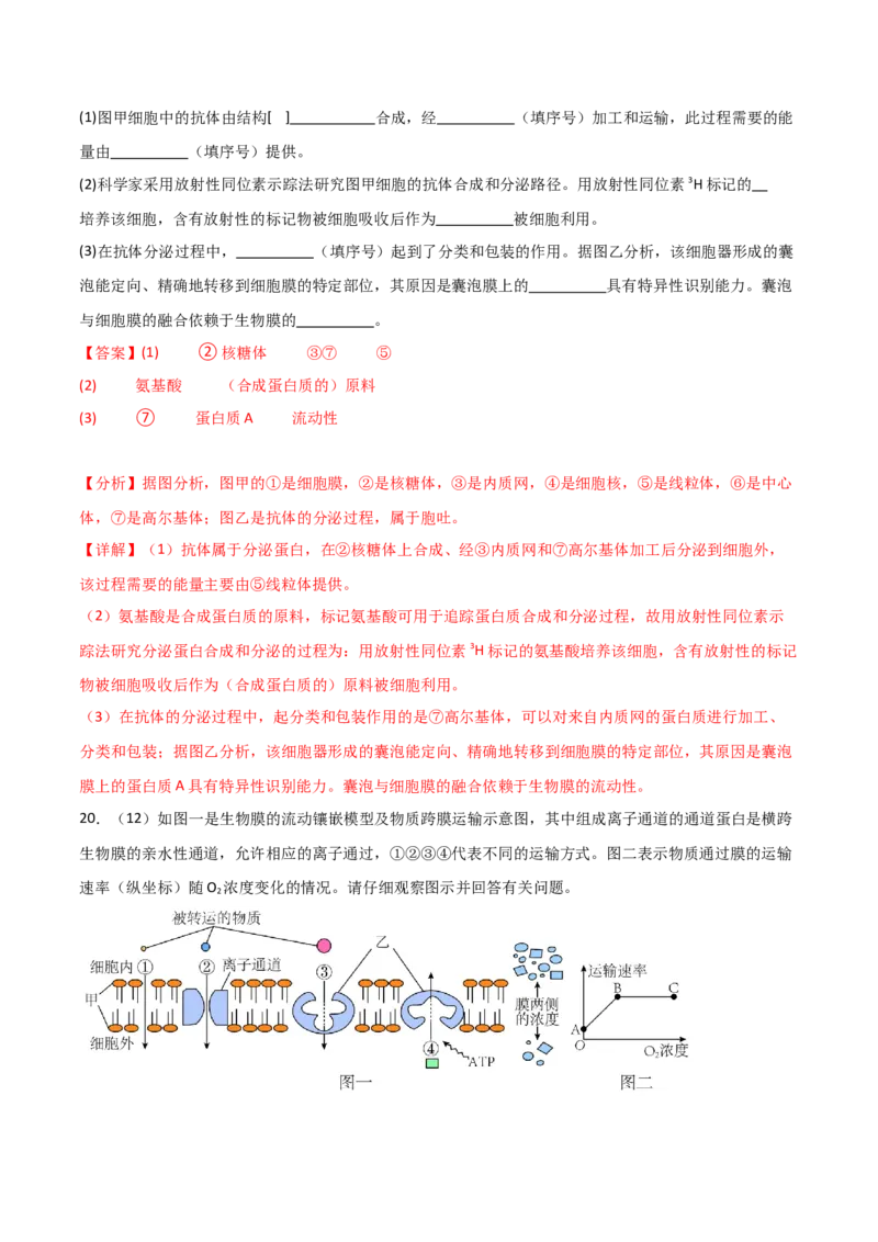 单元检测卷02细胞的结构、功能和物质运输（解析版）_2024年新高考资料_1.2024一轮复习_2024年高考生物一轮复习考点通关卷（新高考通用）