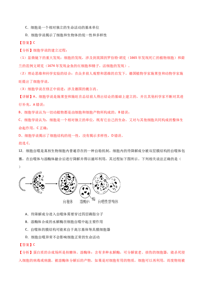 单元检测卷02细胞的结构、功能和物质运输（解析版）_2024年新高考资料_1.2024一轮复习_2024年高考生物一轮复习考点通关卷（新高考通用）
