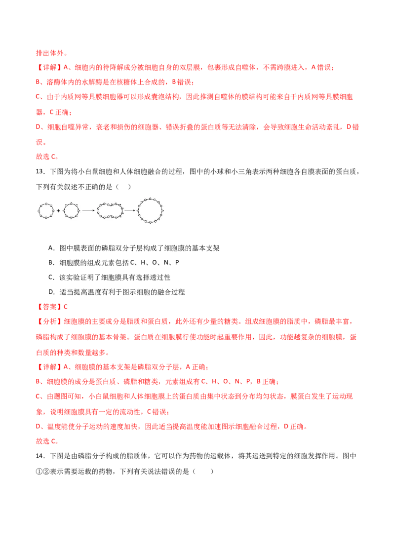 单元检测卷02细胞的结构、功能和物质运输（解析版）_2024年新高考资料_1.2024一轮复习_2024年高考生物一轮复习考点通关卷（新高考通用）