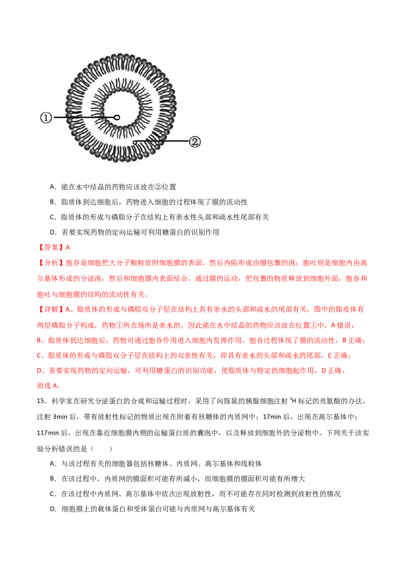 单元检测卷02细胞的结构、功能和物质运输（解析版）_2024年新高考资料_1.2024一轮复习_2024年高考生物一轮复习考点通关卷（新高考通用）