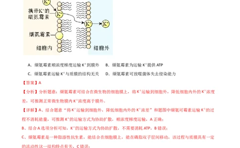 单元检测卷02细胞的结构、功能和物质运输（解析版）_2024年新高考资料_1.2024一轮复习_2024年高考生物一轮复习考点通关卷（新高考通用）
