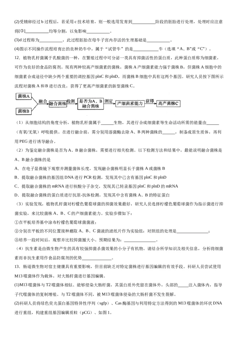 专题五生物技术与工程（综合题特训）-2024年高考生物二轮复习专题训练（全国通用）（原卷版）_2024年新高考资料_2.2024二轮复习_2024年高考生物二轮复习专题训练（全国通用）