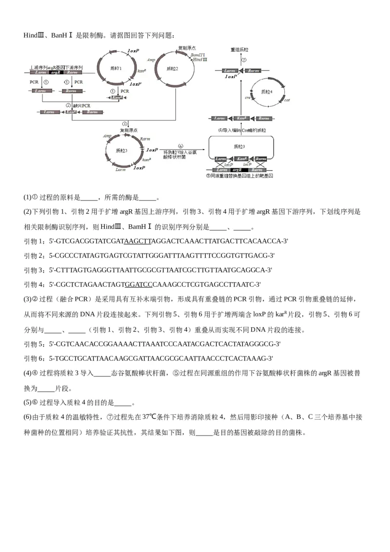 专题五生物技术与工程（综合题特训）-2024年高考生物二轮复习专题训练（全国通用）（原卷版）_2024年新高考资料_2.2024二轮复习_2024年高考生物二轮复习专题训练（全国通用）