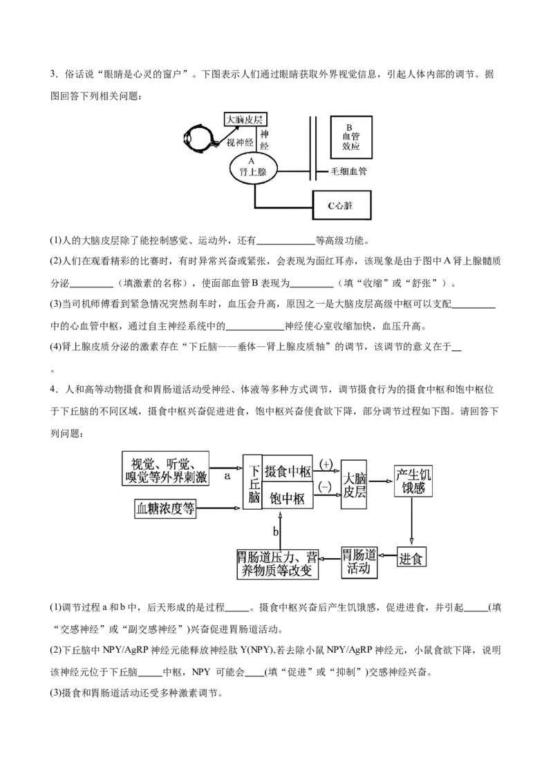 押新高考卷稳态与调节（原卷版）-备战2024年高考生物临考题号押题（新高考通用）_2024年新高考资料_5.2024三轮冲刺_备战2024年高考生物临考题号押题（新高考通用）322745222_61
