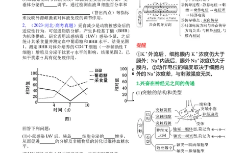 押新高考卷稳态与调节（原卷版）-备战2024年高考生物临考题号押题（新高考通用）_2024年新高考资料_5.2024三轮冲刺_备战2024年高考生物临考题号押题（新高考通用）322745222_61
