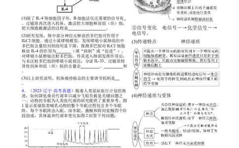 押新高考卷稳态与调节（原卷版）-备战2024年高考生物临考题号押题（新高考通用）_2024年新高考资料_5.2024三轮冲刺_备战2024年高考生物临考题号押题（新高考通用）322745222_61