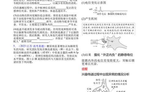 押新高考卷稳态与调节（原卷版）-备战2024年高考生物临考题号押题（新高考通用）_2024年新高考资料_5.2024三轮冲刺_备战2024年高考生物临考题号押题（新高考通用）322745222_61
