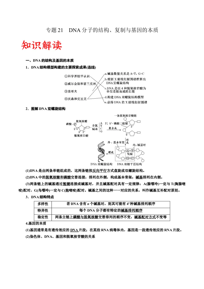 专题21DNA分子的结构、复制与基因的本质（解析版)_2024年新高考资料_3.2024专项复习_备战2024年高考生物一轮复习重难点专项突破