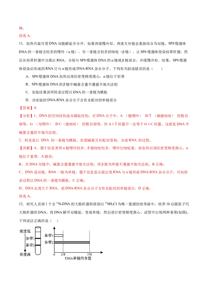 专题21DNA分子的结构、复制与基因的本质（解析版)_2024年新高考资料_3.2024专项复习_备战2024年高考生物一轮复习重难点专项突破
