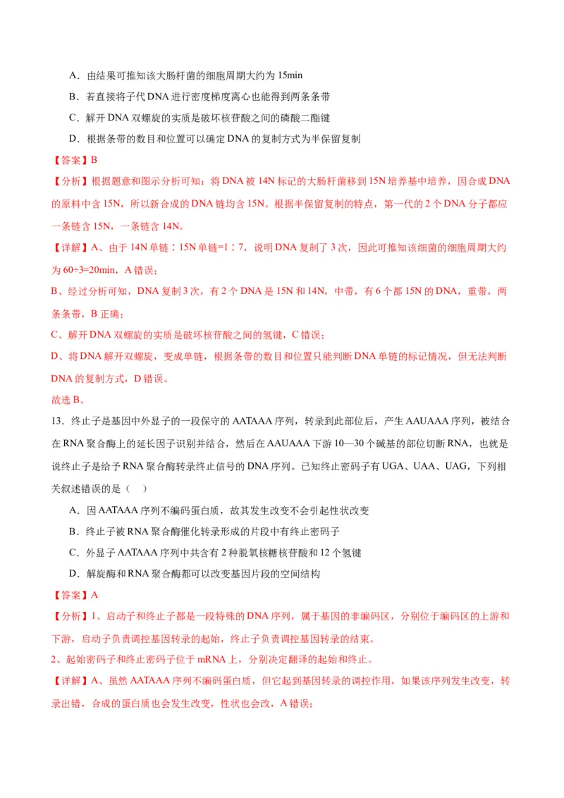 专题21DNA分子的结构、复制与基因的本质（解析版)_2024年新高考资料_3.2024专项复习_备战2024年高考生物一轮复习重难点专项突破
