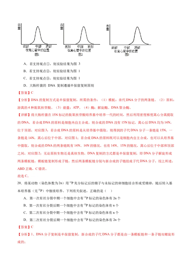 专题21DNA分子的结构、复制与基因的本质（解析版)_2024年新高考资料_3.2024专项复习_备战2024年高考生物一轮复习重难点专项突破