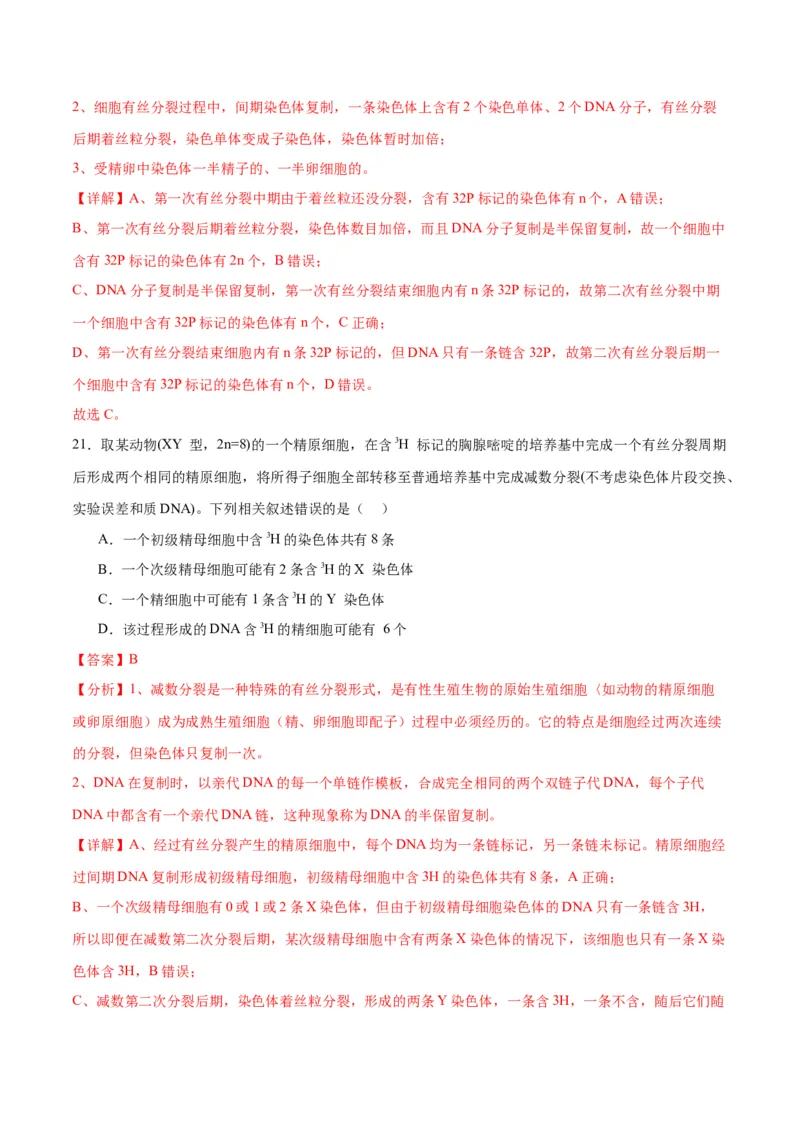 专题21DNA分子的结构、复制与基因的本质（解析版)_2024年新高考资料_3.2024专项复习_备战2024年高考生物一轮复习重难点专项突破