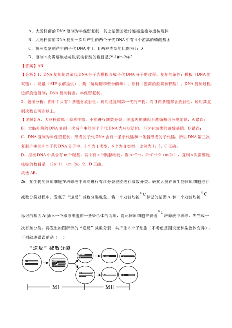 专题21DNA分子的结构、复制与基因的本质（解析版)_2024年新高考资料_3.2024专项复习_备战2024年高考生物一轮复习重难点专项突破