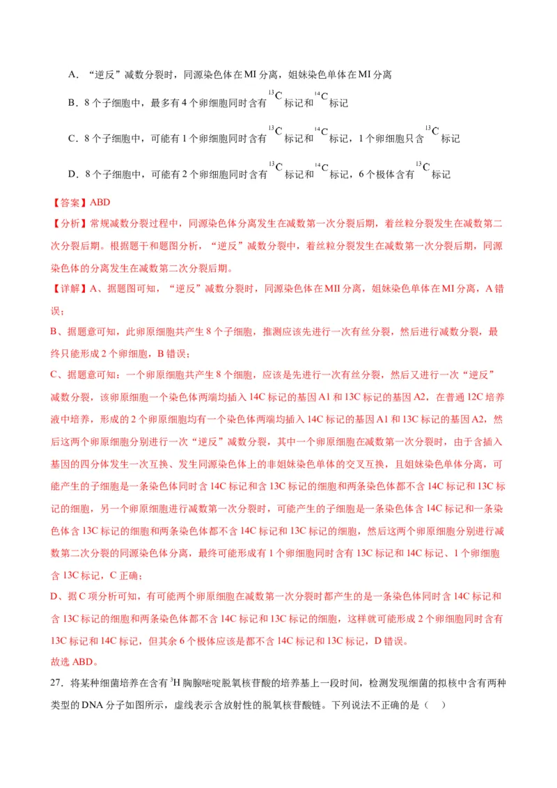 专题21DNA分子的结构、复制与基因的本质（解析版)_2024年新高考资料_3.2024专项复习_备战2024年高考生物一轮复习重难点专项突破