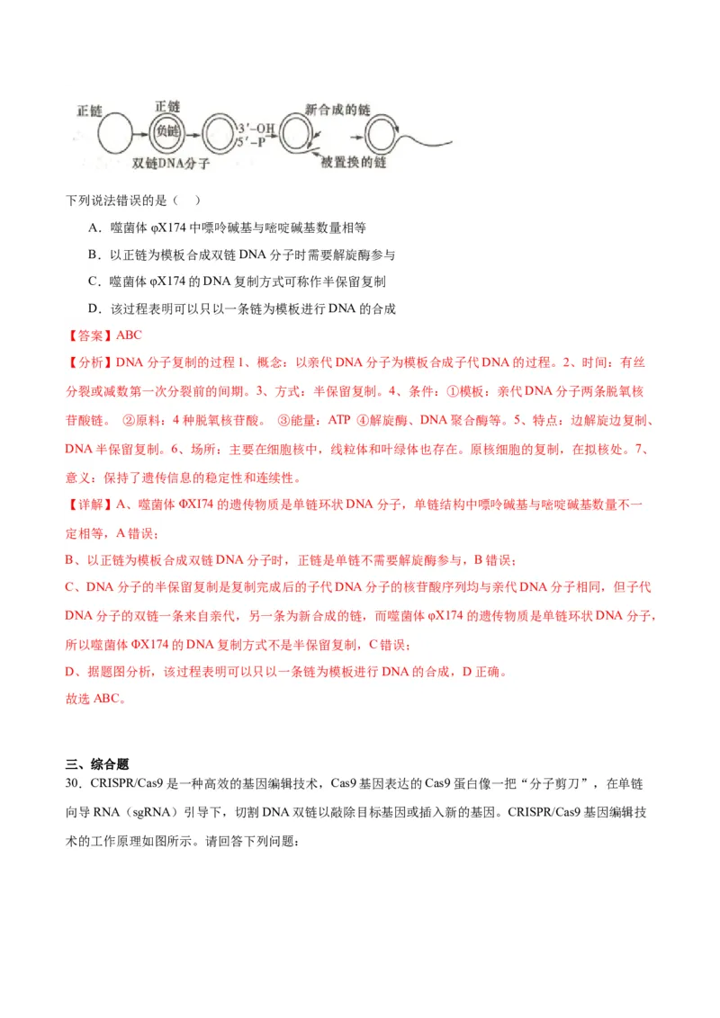 专题21DNA分子的结构、复制与基因的本质（解析版)_2024年新高考资料_3.2024专项复习_备战2024年高考生物一轮复习重难点专项突破