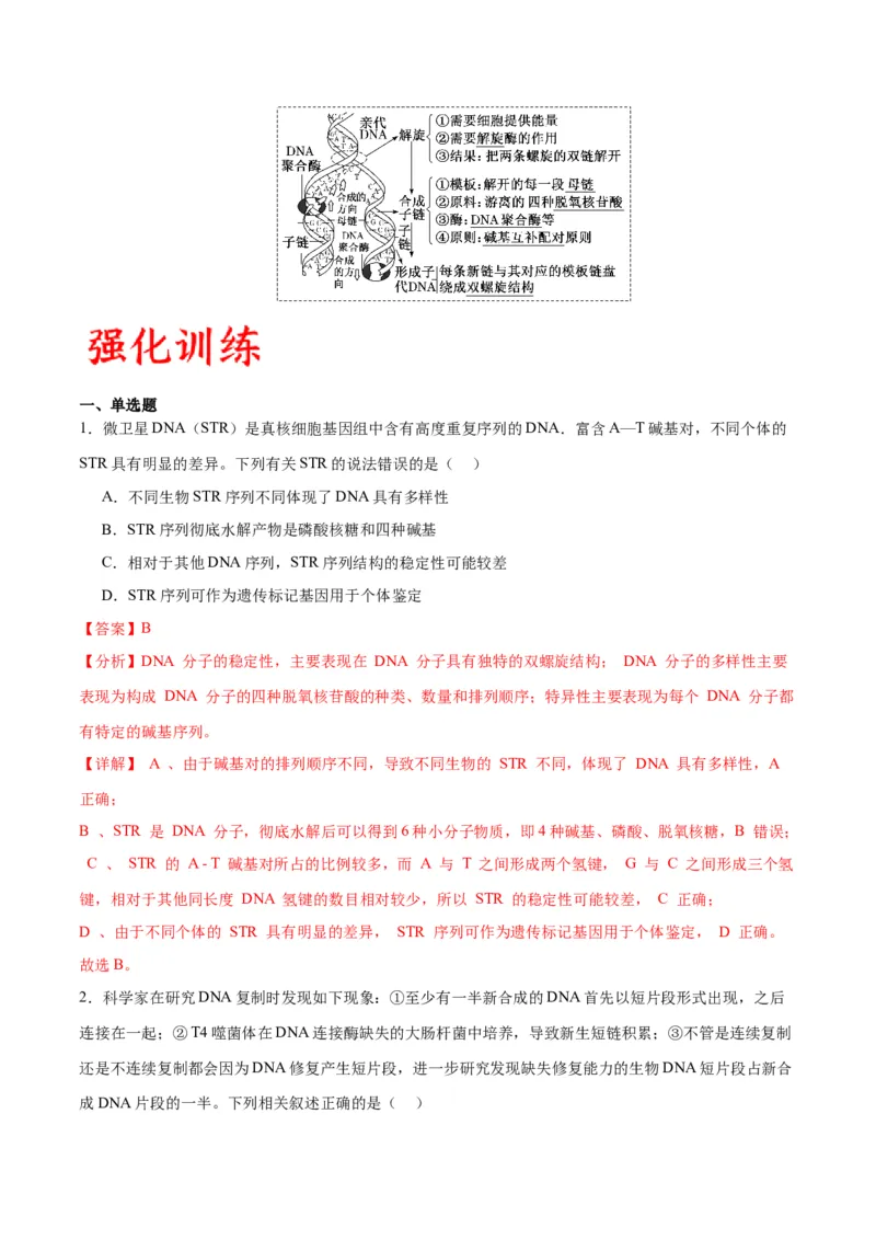 专题21DNA分子的结构、复制与基因的本质（解析版)_2024年新高考资料_3.2024专项复习_备战2024年高考生物一轮复习重难点专项突破