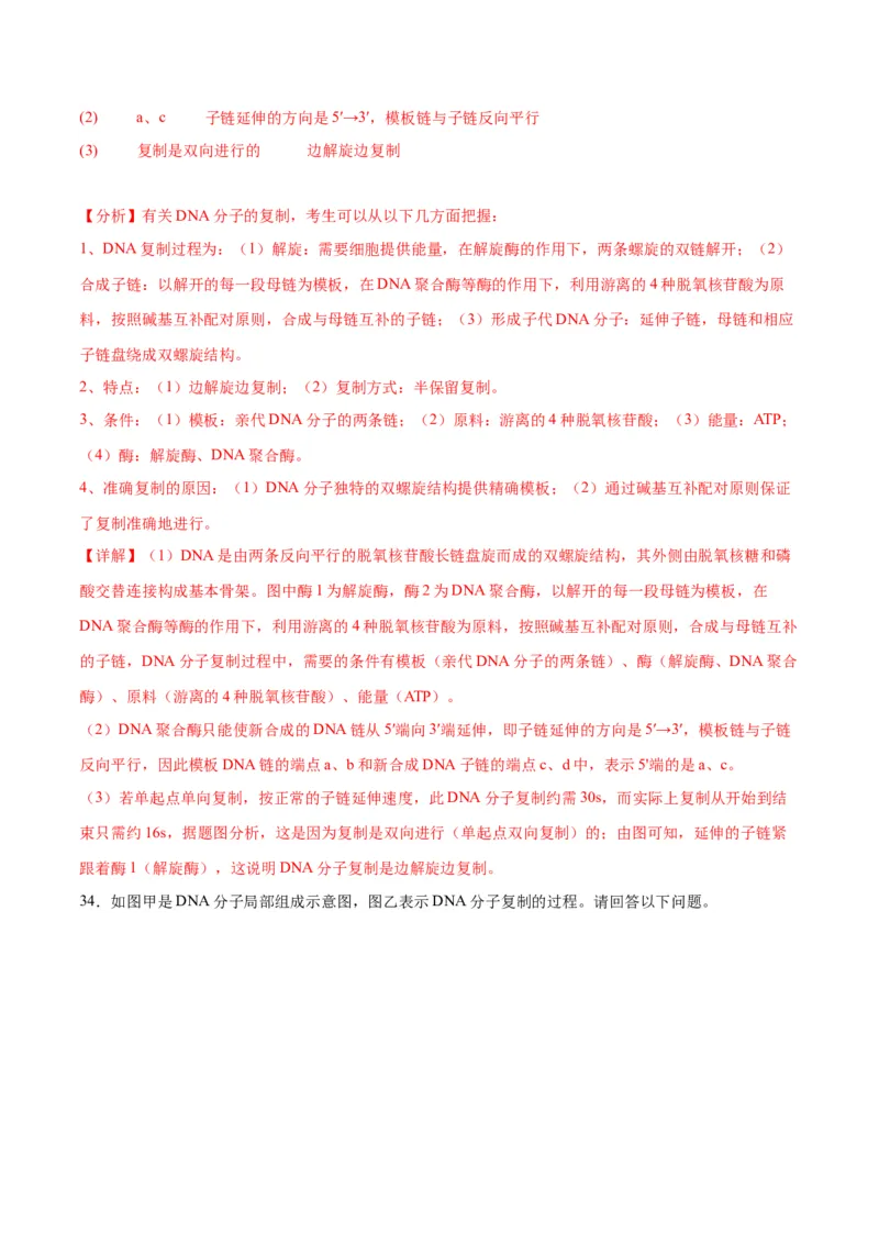 专题21DNA分子的结构、复制与基因的本质（解析版)_2024年新高考资料_3.2024专项复习_备战2024年高考生物一轮复习重难点专项突破