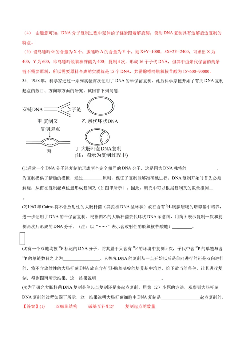 专题21DNA分子的结构、复制与基因的本质（解析版)_2024年新高考资料_3.2024专项复习_备战2024年高考生物一轮复习重难点专项突破