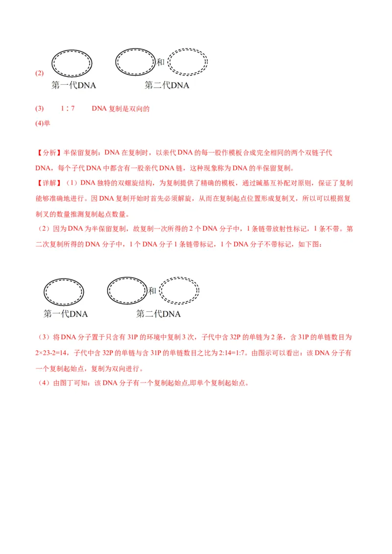 专题21DNA分子的结构、复制与基因的本质（解析版)_2024年新高考资料_3.2024专项复习_备战2024年高考生物一轮复习重难点专项突破