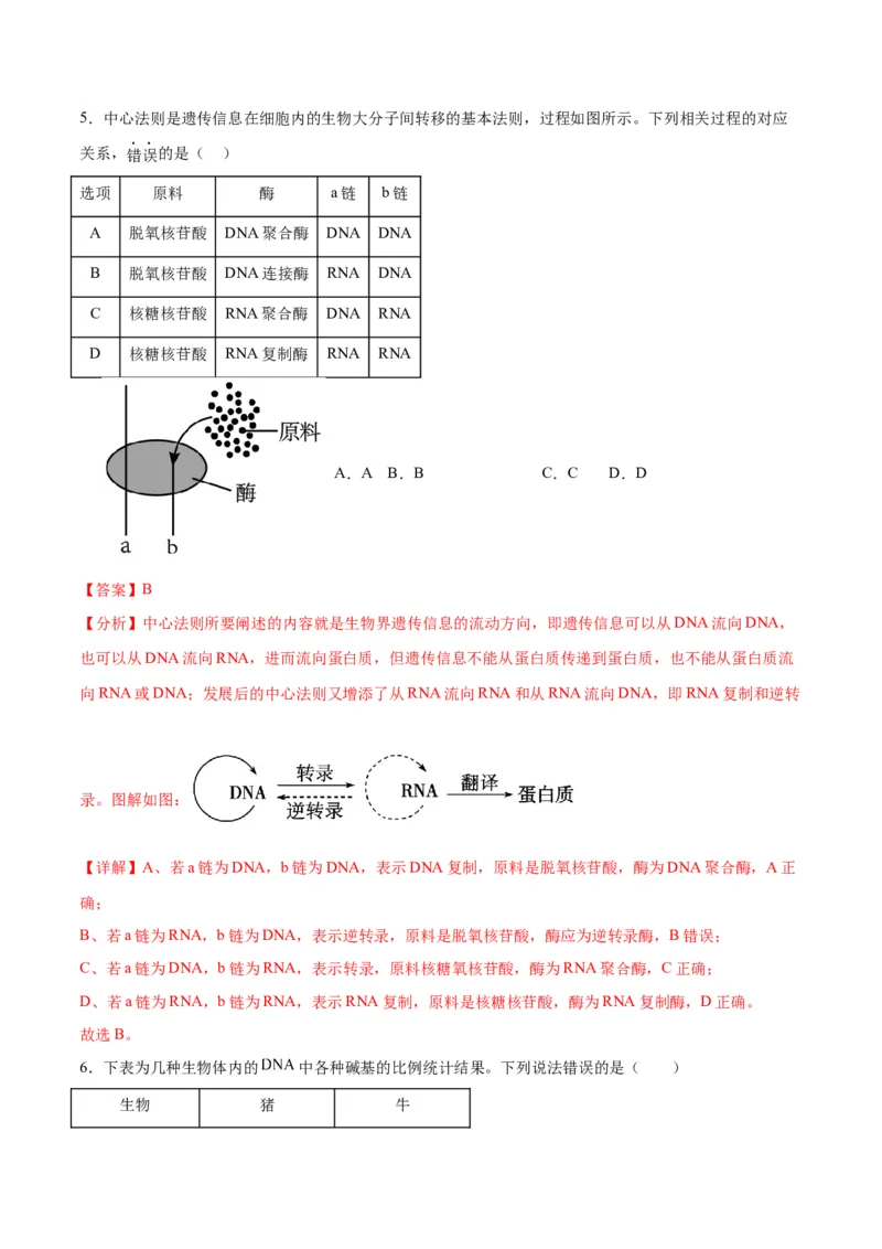 专题21DNA分子的结构、复制与基因的本质（解析版)_2024年新高考资料_3.2024专项复习_备战2024年高考生物一轮复习重难点专项突破