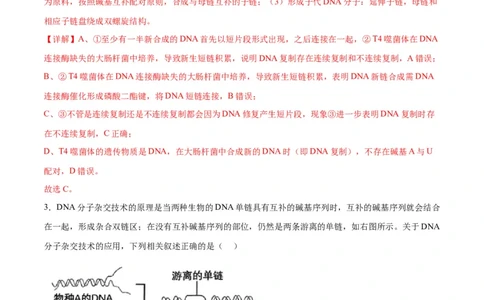 专题21DNA分子的结构、复制与基因的本质（解析版)_2024年新高考资料_3.2024专项复习_备战2024年高考生物一轮复习重难点专项突破
