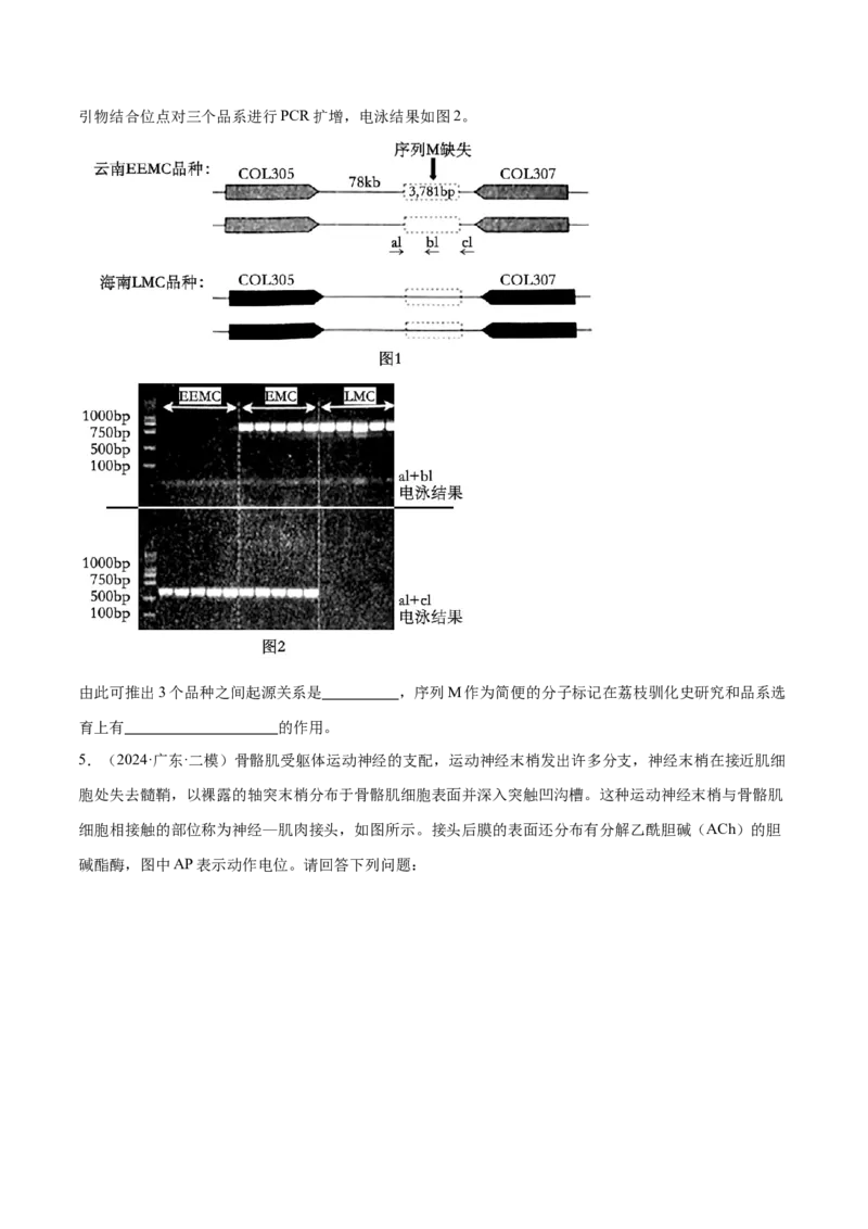 押广东卷第18题生命活动的调节（原卷版）_2024年新高考资料_5.2024三轮冲刺_备战2024年高考生物临考题号押题（广东专用）323137816