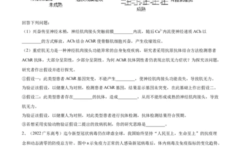 押广东卷第18题生命活动的调节（原卷版）_2024年新高考资料_5.2024三轮冲刺_备战2024年高考生物临考题号押题（广东专用）323137816