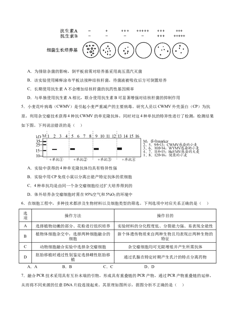 押新高考卷生物技术与工程（原卷版）-备战2024年高考生物临考题号押题（新高考通用）_2024年新高考资料_5.2024三轮冲刺_备战2024年高考生物临考题号押题（新高考通用）322745222