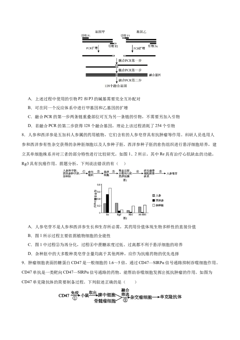 押新高考卷生物技术与工程（原卷版）-备战2024年高考生物临考题号押题（新高考通用）_2024年新高考资料_5.2024三轮冲刺_备战2024年高考生物临考题号押题（新高考通用）322745222