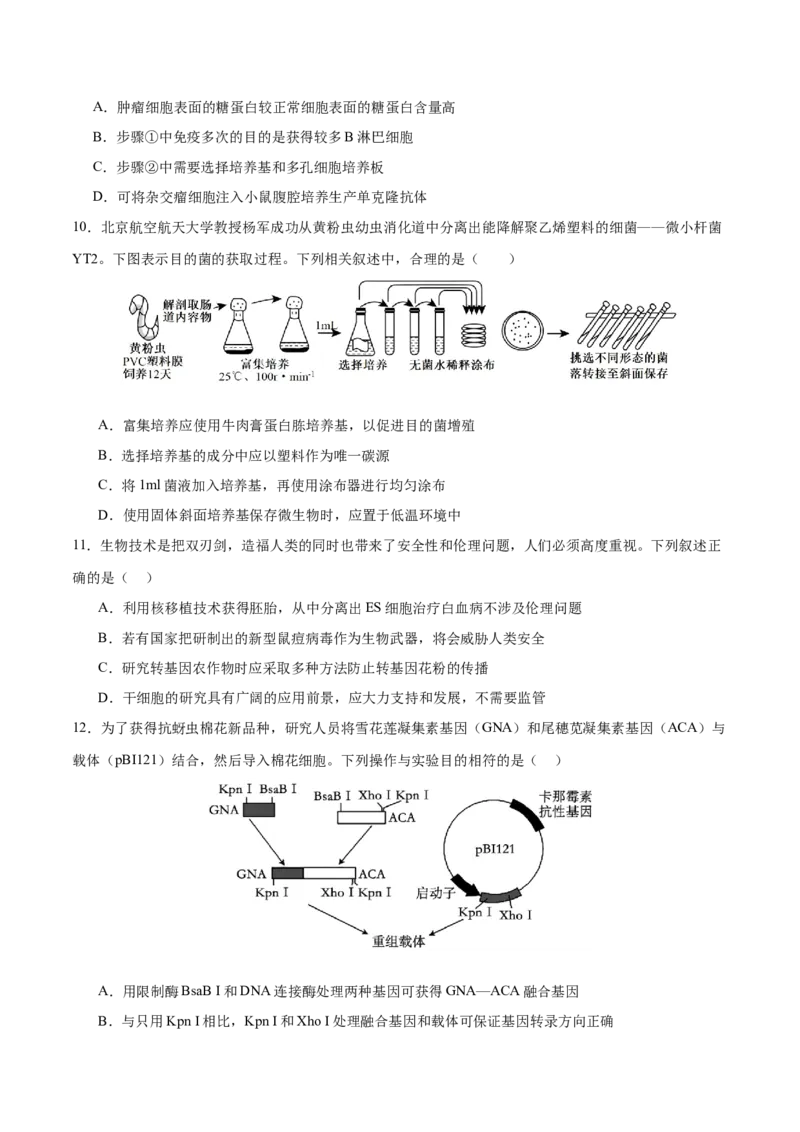押新高考卷生物技术与工程（原卷版）-备战2024年高考生物临考题号押题（新高考通用）_2024年新高考资料_5.2024三轮冲刺_备战2024年高考生物临考题号押题（新高考通用）322745222