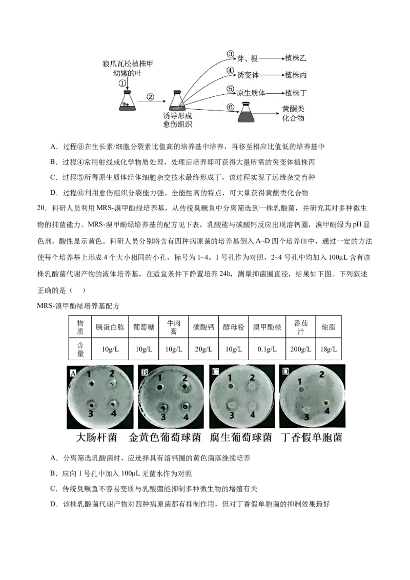 押新高考卷生物技术与工程（原卷版）-备战2024年高考生物临考题号押题（新高考通用）_2024年新高考资料_5.2024三轮冲刺_备战2024年高考生物临考题号押题（新高考通用）322745222