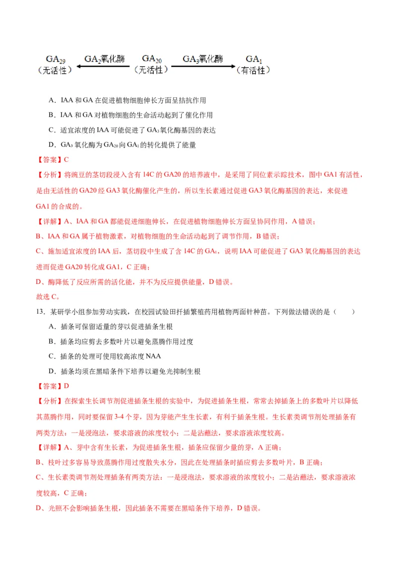 专题32植物生命活动调节（解析版)_2024年新高考资料_3.2024专项复习_备战2024年高考生物一轮复习重难点专项突破_专题32植物生命活动调节-备战2024年高考生物一轮复习重难点专项突破