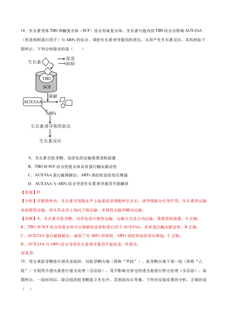 专题32植物生命活动调节（解析版)_2024年新高考资料_3.2024专项复习_备战2024年高考生物一轮复习重难点专项突破_专题32植物生命活动调节-备战2024年高考生物一轮复习重难点专项突破